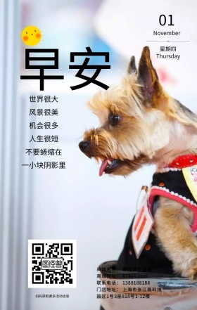 黄色绿色植物仙人掌简约文艺极简海报