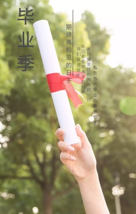 毕业季青春青春纪念册简约小清新海报