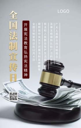 全国法制宣传日普法主题宣传海报