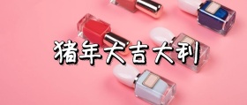 猪年大吉大利公众号封面