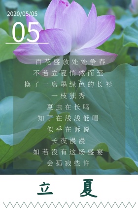 荷花盛开清新文艺立夏节气公众号竖版配图