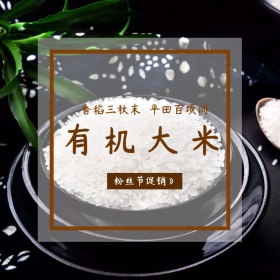 粉丝节有机大米简约创意淘宝主图