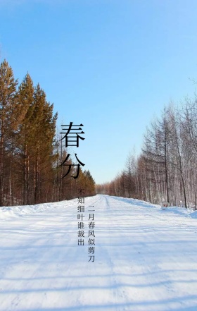 春分简约清新诗句手机海报