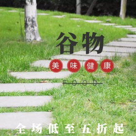谷物双十二淘宝促销简约直通车海报