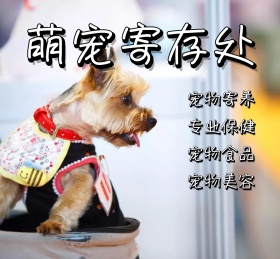 萌宠寄存处