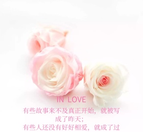 粉红色唯美爱情朋友圈封面