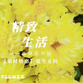 花店鲜花双十二淘宝促销简约直通车海报