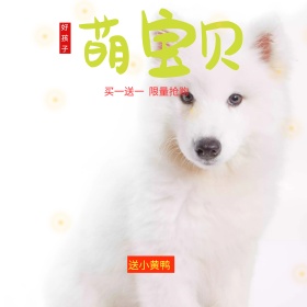 淘宝天猫全球狂欢节母婴奶瓶主图直通车模板