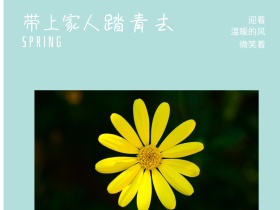 迎着 踏青去 微笑着 带上家人 温暖的风 SPRING 春天春季春游景色油菜花公众号配图