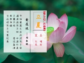 二十四节气立夏简约绿色荷花横版配图
