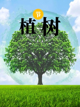 植树节312种树