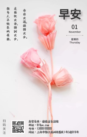 绿色植物简约早安问候文艺日签