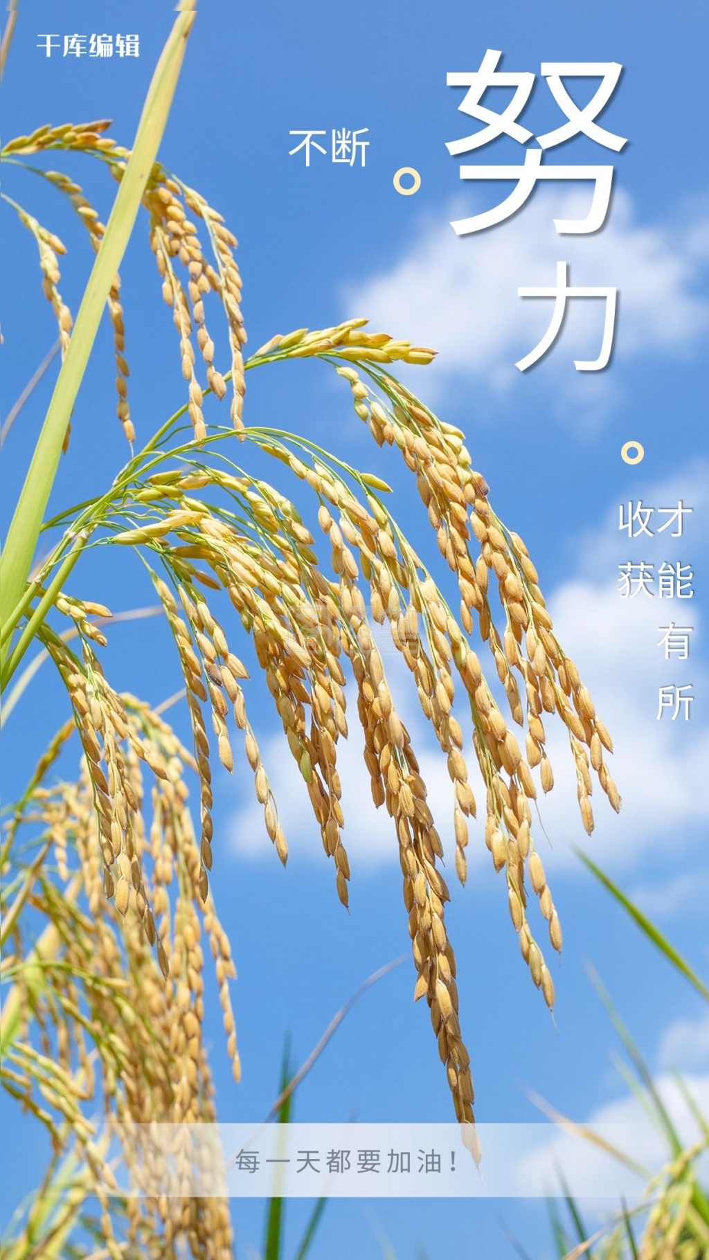 励志语录稻穗蓝色简约摄影图海报