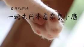 日本旅游红包公众号封面