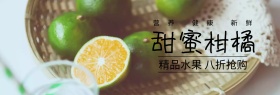 柑橘水果517吃货节棕banner图片