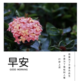 早安正能量语录小清新公众号配图