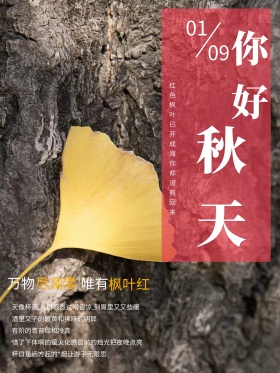 红色枫叶秋天你好唯美秋天微信配图海报酒红色图片