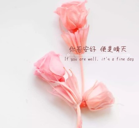朋友圈封面卡通蓝色向日葵安好