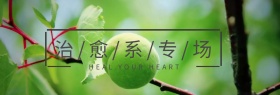 治愈系专场淘宝