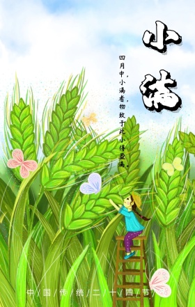 小满中国传统二十四节气绿色简约手机海报