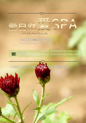 爱自然爱SPA海报设计