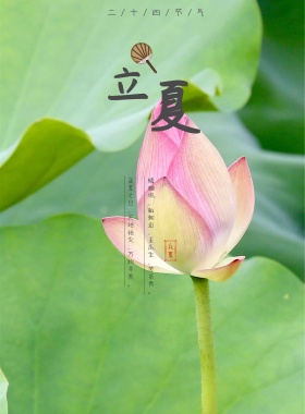 二十四节气立夏小清新海报模板