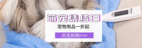 宠物用品双十一淘宝嘉年华卡通直通车海报