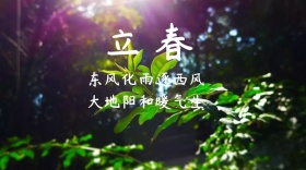 立春简约诗句公众号封面模版