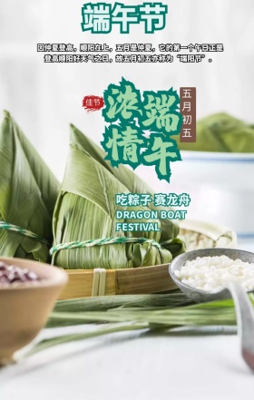 端午节中国传统节日灰色简约手机海报