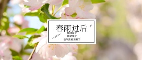 春雨过后 柳枝绿了 桃花笑了 空气变得清新了 春季春天你好公众号封面