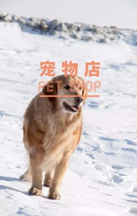 宠物店可爱猫咪小狗宣传海报
