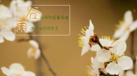 谷雨绿色雨水出芽生命的活力公众号封面