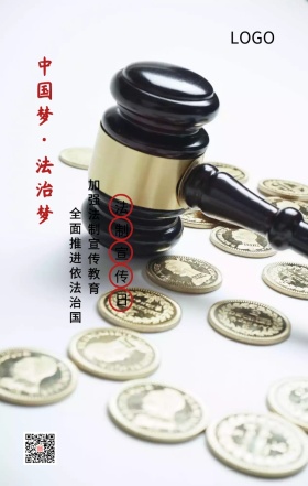 全国法制宣传日普法主题宣传海报