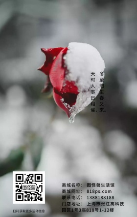 冬至冬天下雪风景白色节气节日海报