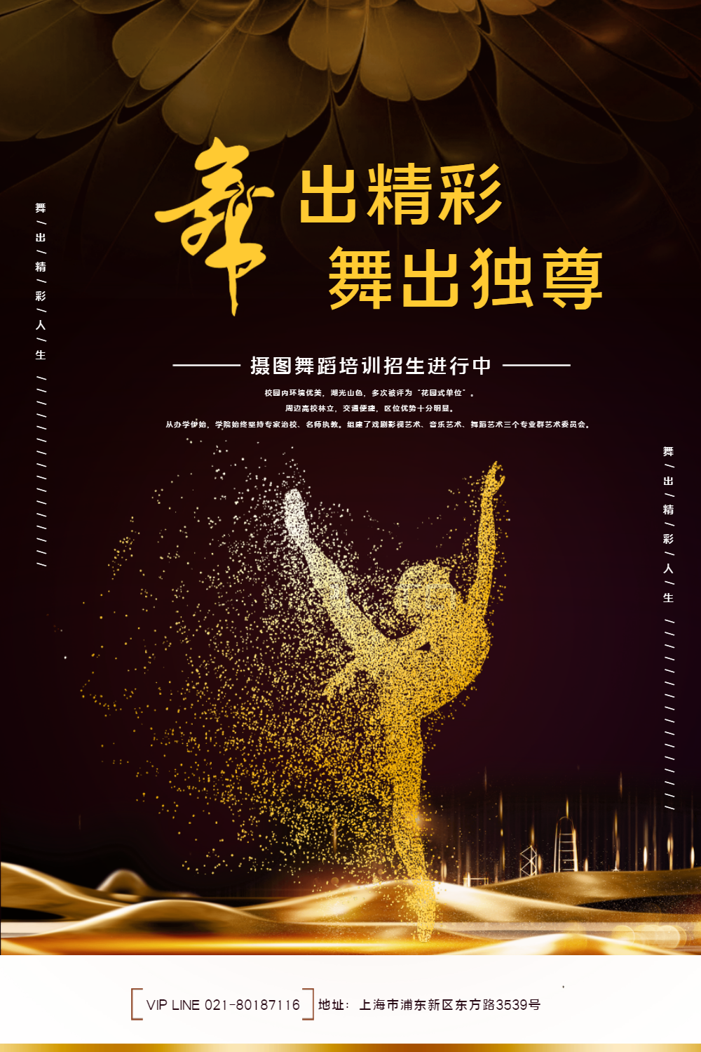 黑金华丽舞出精彩舞蹈海报