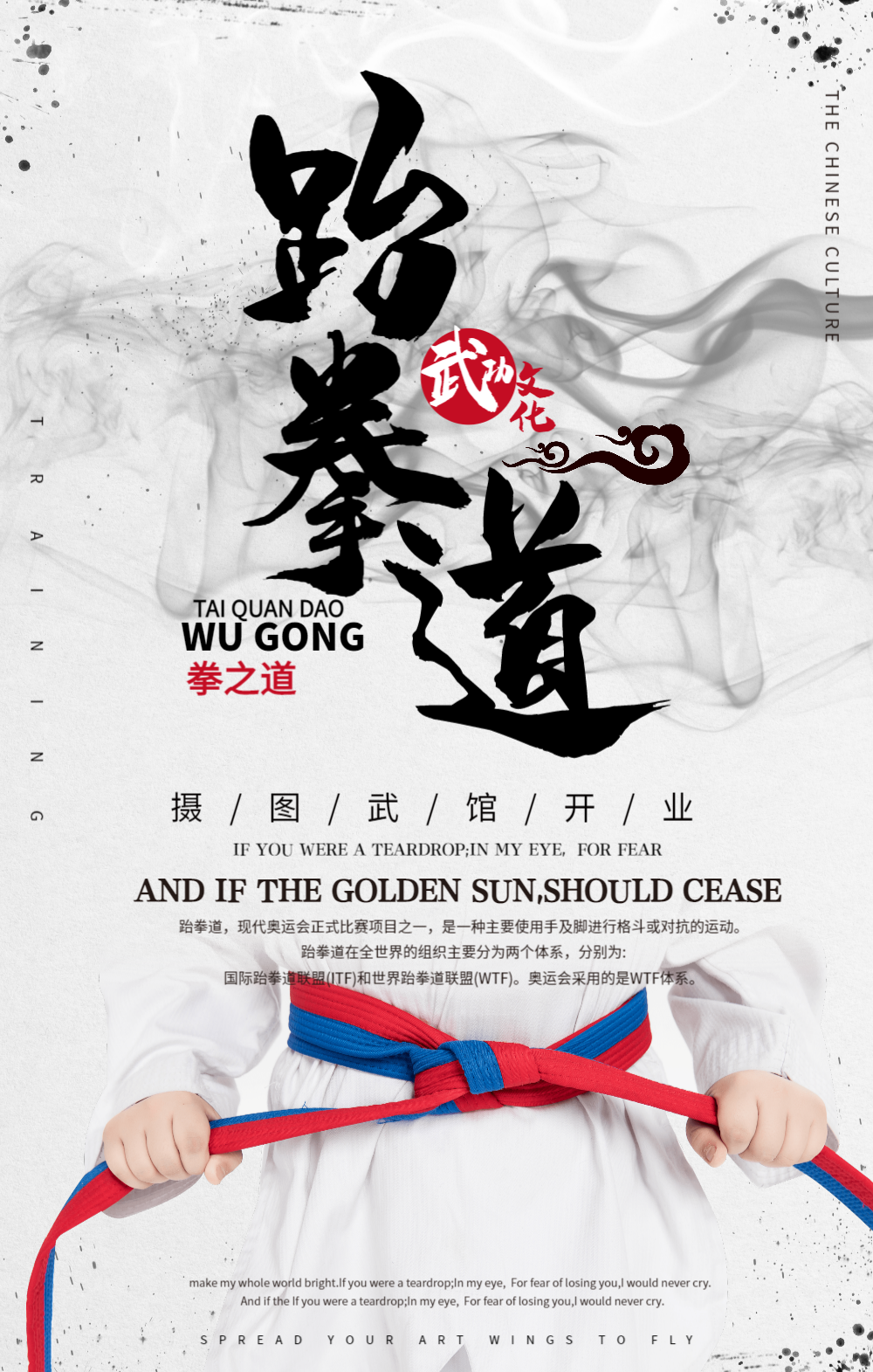 中国风跆拳道海报