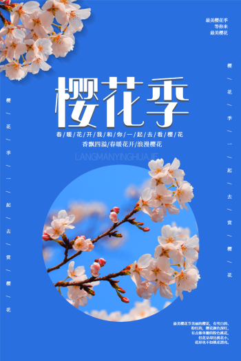 漂亮的花朵图片