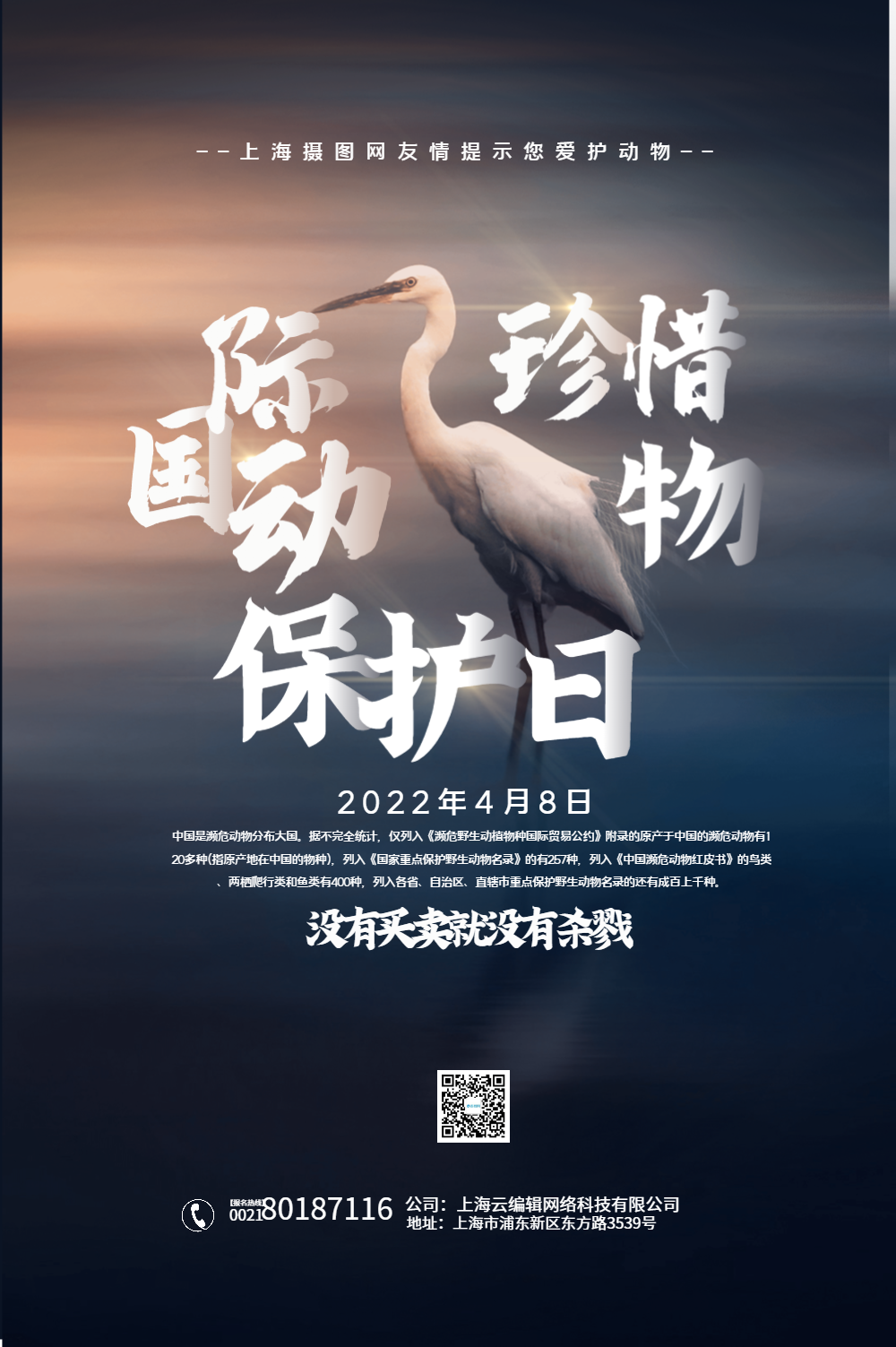 国际珍稀动物保护日海报