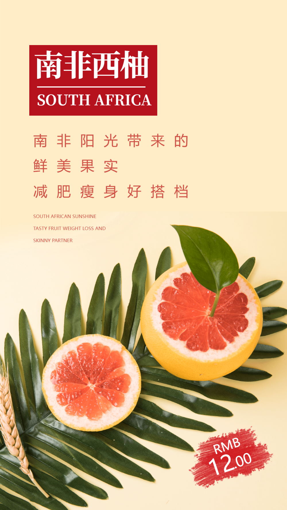 南非西柚美食摄影图海报