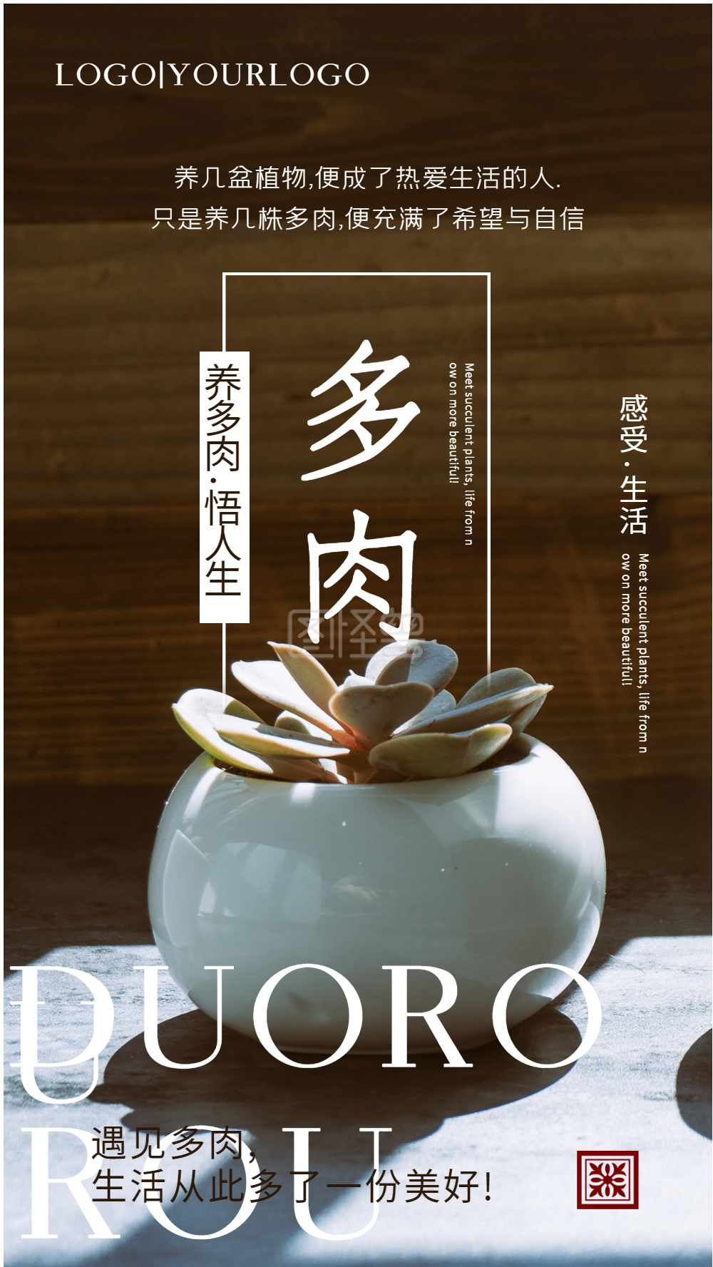 多肉文艺心情摄影图海报