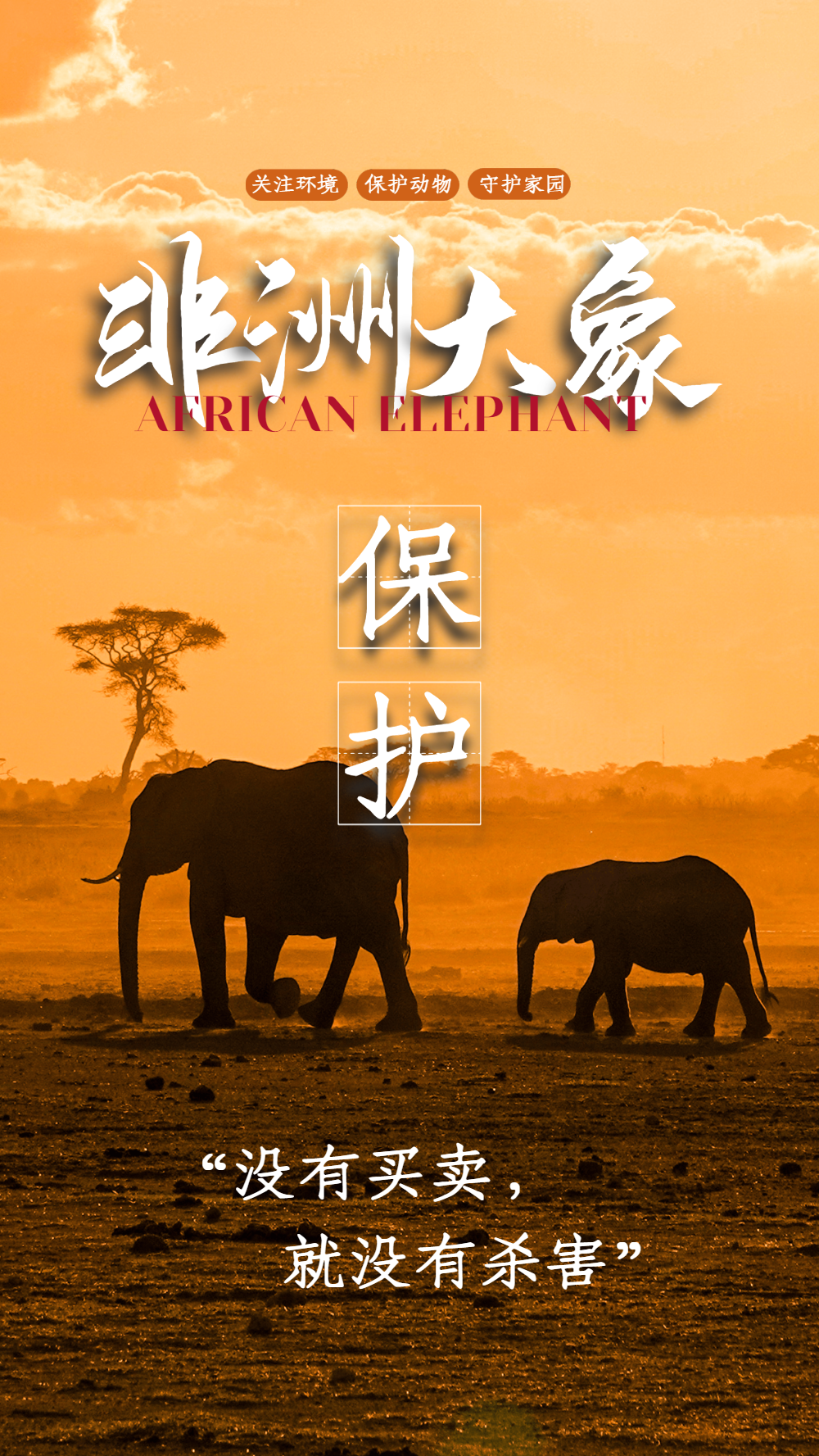 保护大象拒绝象牙摄影图海报