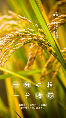 一分耕耘一分收获励志摄影图海报