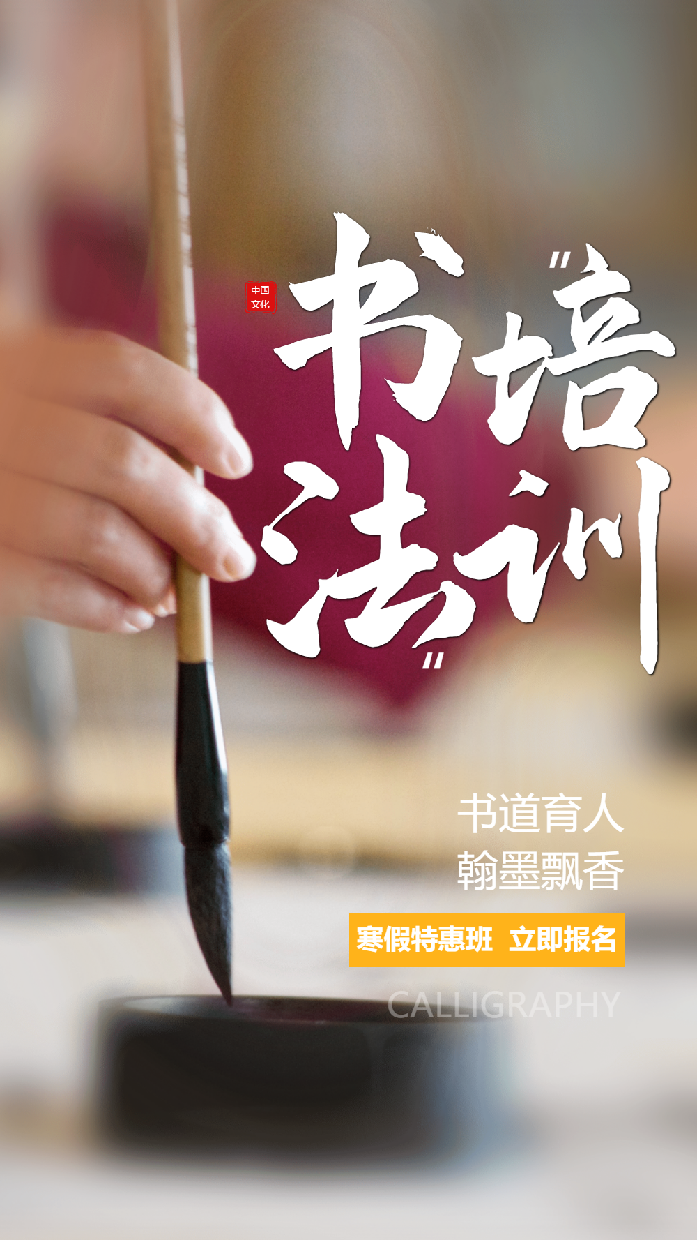 正版书法培训摄影图海报vip简约书法背景书法培训海报正版中国风书法