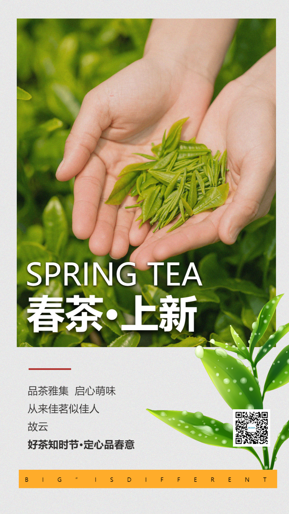 清新简约春茶上新摄影图海报