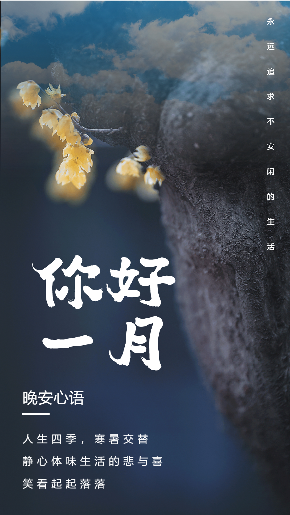 你好一月摄影图海报