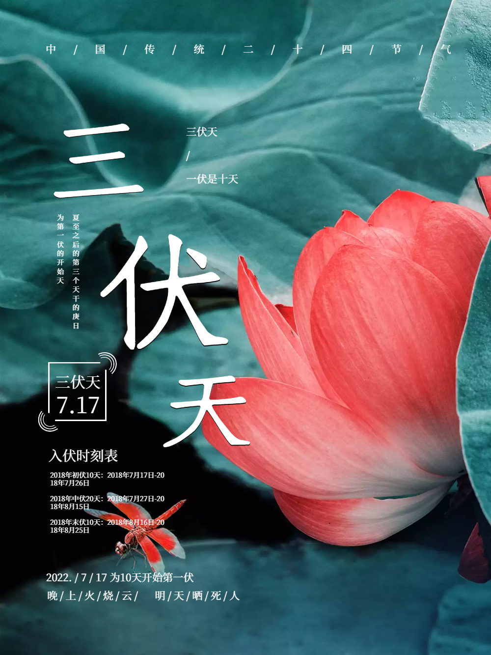 三伏天夏季荷花海报