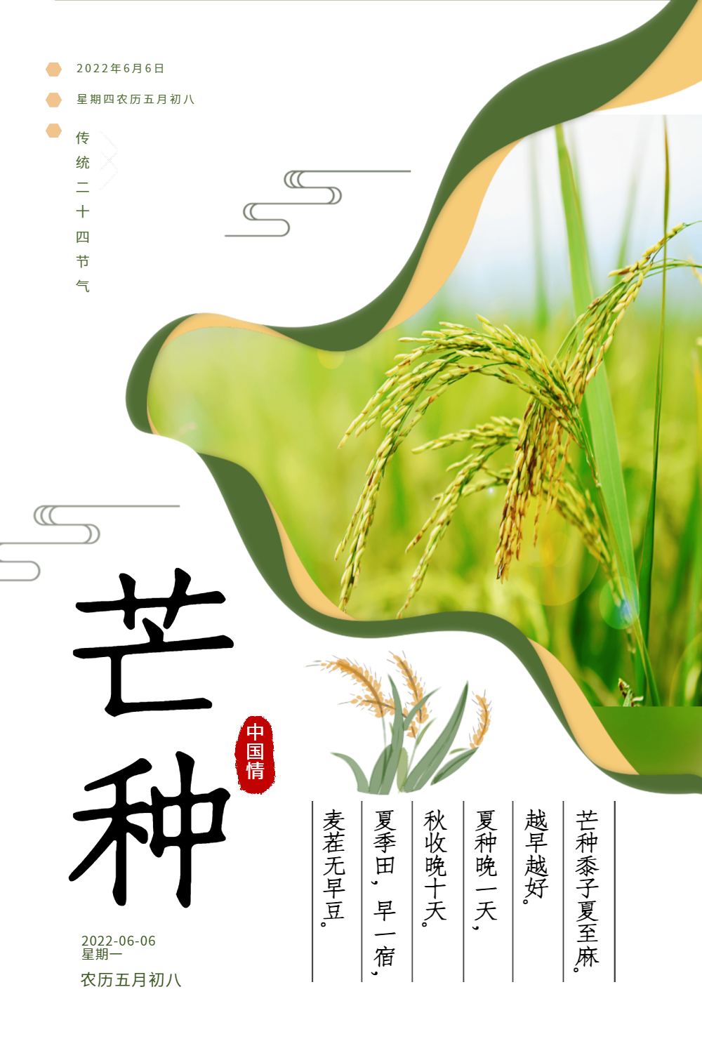 大气创意芒种24节气海报