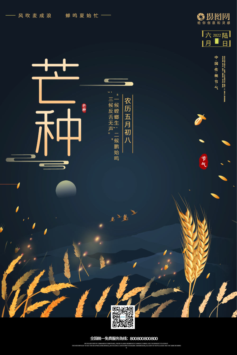 简约大气传统24节气芒种海报