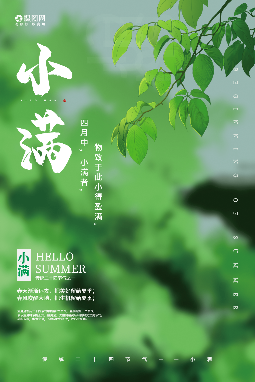 绿色小清新小满二十四节气海报