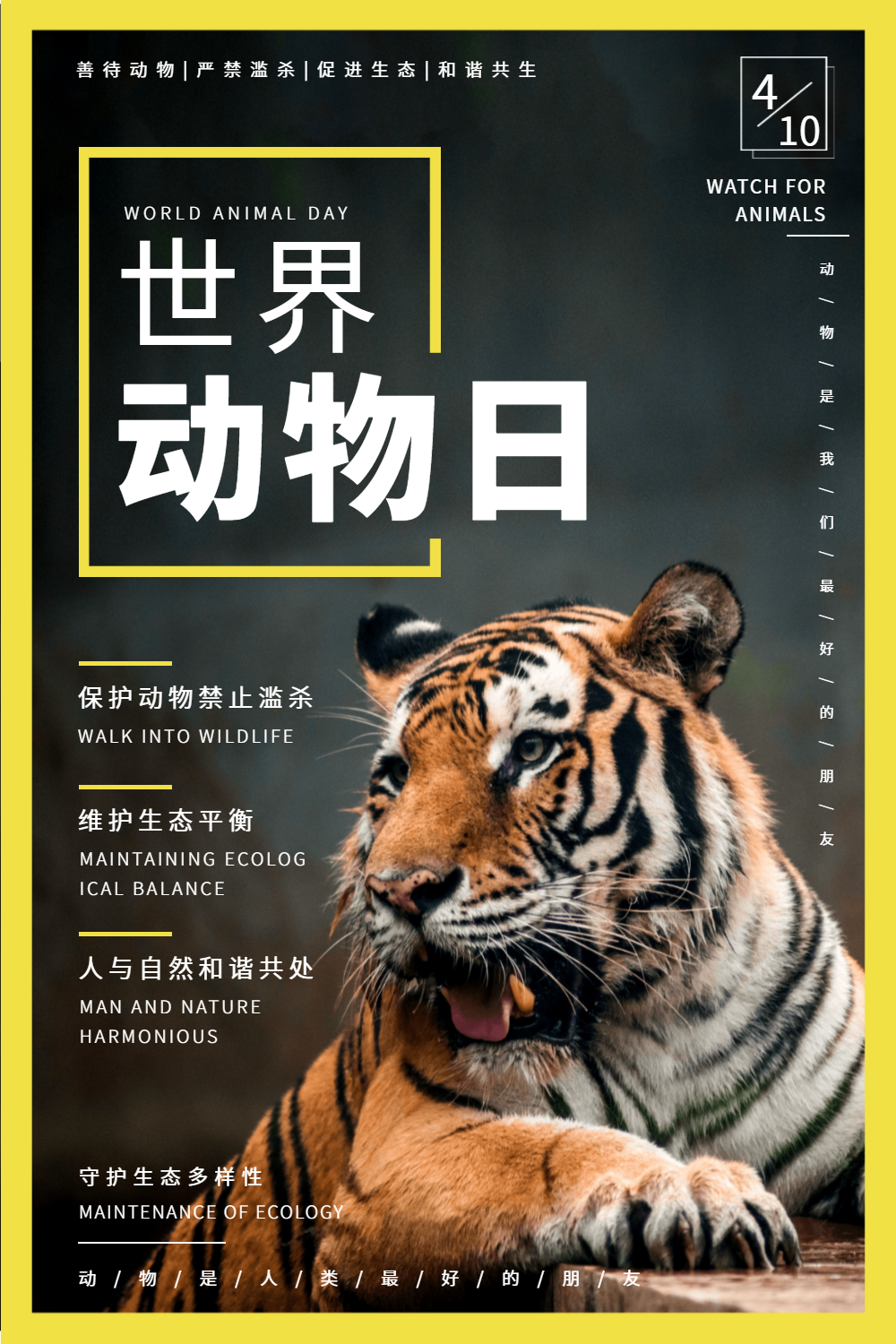 杂志风世界动物日宣传海报设计